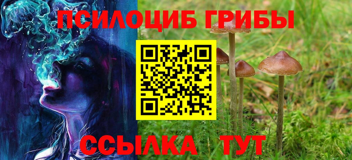 Псилоцибиновые грибы MAGIC MUSHROOMS  Галлюциногенные грибы Cubensis  Лангепас  Вход с VPN 